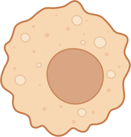 Macrophage